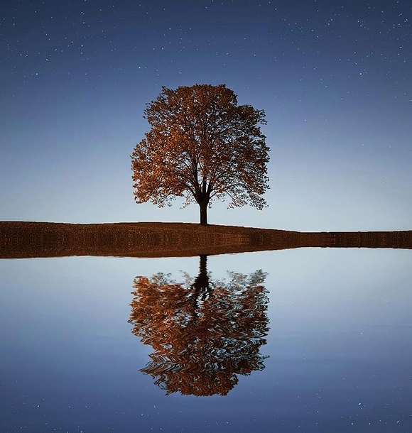 Compassion Focused Therapy Kent
